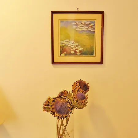 Hotel Rasula Alta-3