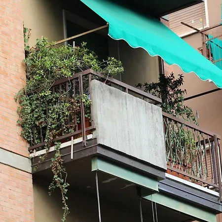 Il Lori Di Alessandra-2