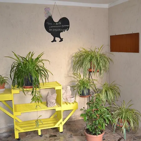 Il Giardino del Gallo-3