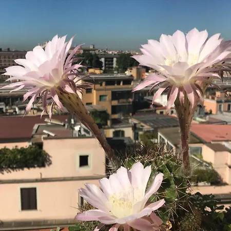 Pousada Romana-2