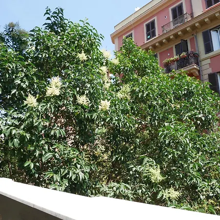 Nori Guest House-3