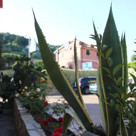 Albergo La Mimosa-2