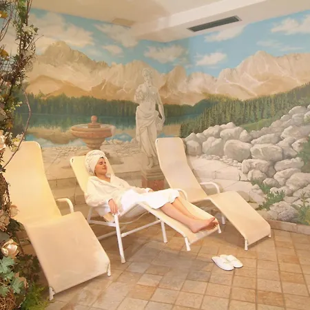 Hotel Stella Alpina-2