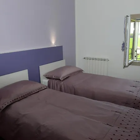 il leccio-2