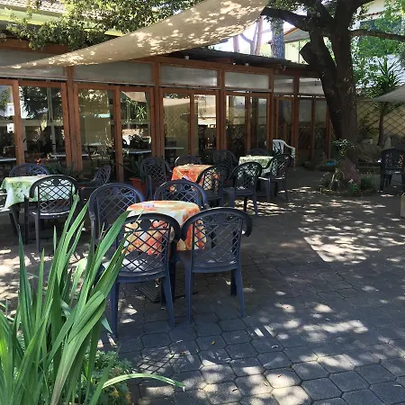Hotel Il Pino-3