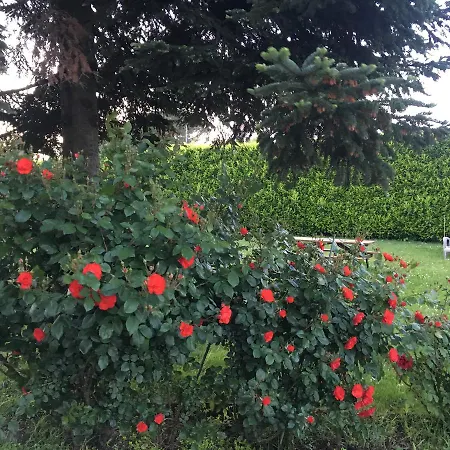 Villa Toscana Il Pino-2