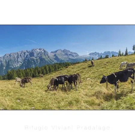 Rifugio Viviani Pradalago-2