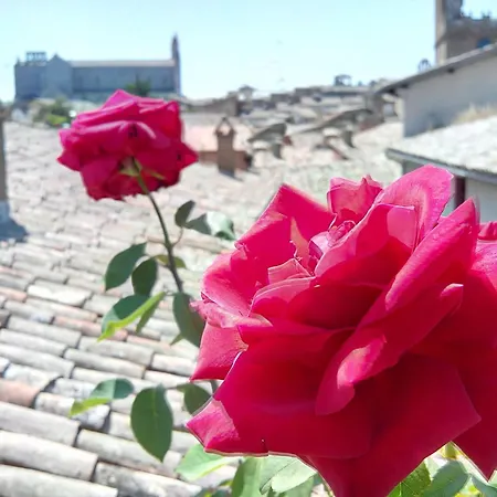 Orvieto in Terrazza-2