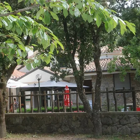 Hotel Bosco Selene-2