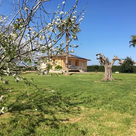 La casa del Moro-2