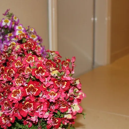 Harmony Rooms-3