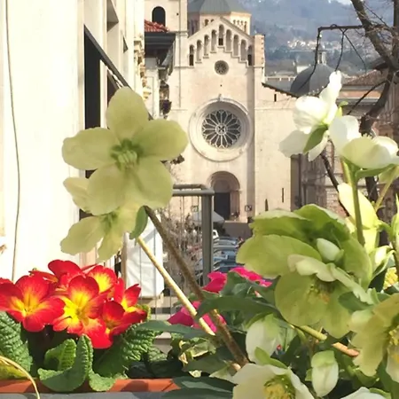 B&B Homer Trento-2