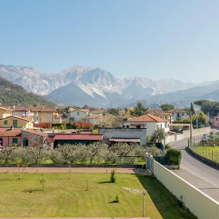 Merlo d'Oro-3