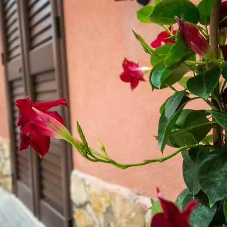 'A Cumerdia - Casa Vacanze-3