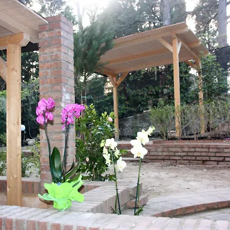 B&B Hospital-3