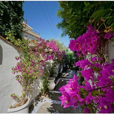 Casa Sofia-2