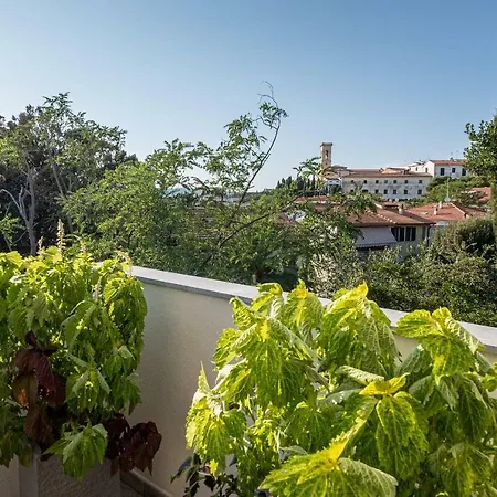 La Villa 31 - Rosignano Marittimo --2