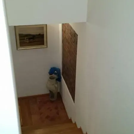 Il Delfino A Bologna-2
