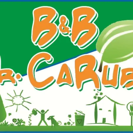 B&B Mrcaruba-3