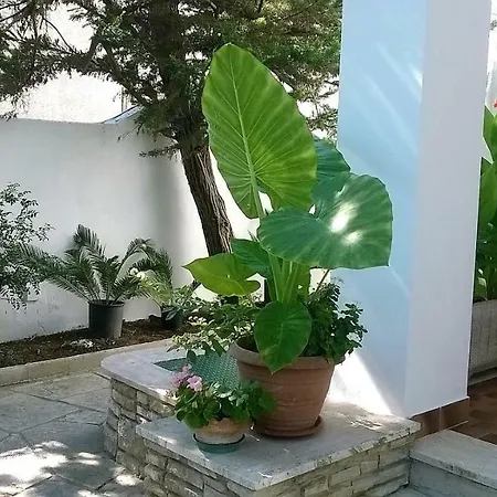 B&B Il Villino Torre Dell'Orso-3