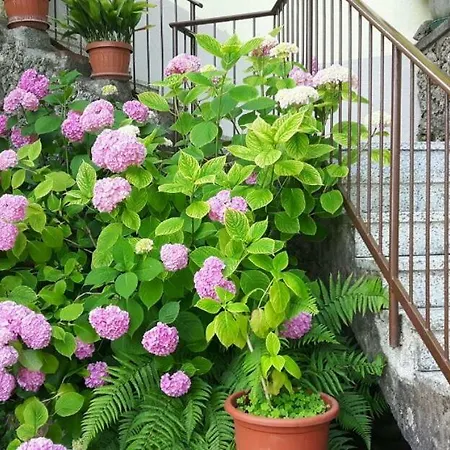 B&B Il Poggio-2