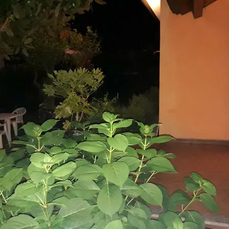 New Life-2