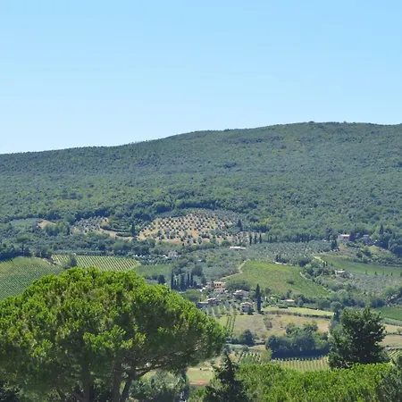 Damario Panorama-3