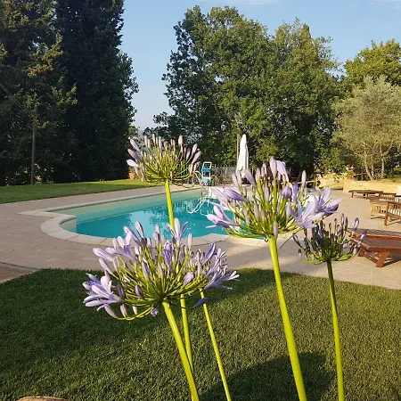B&B Podere Rivoltino Di Sopra-3