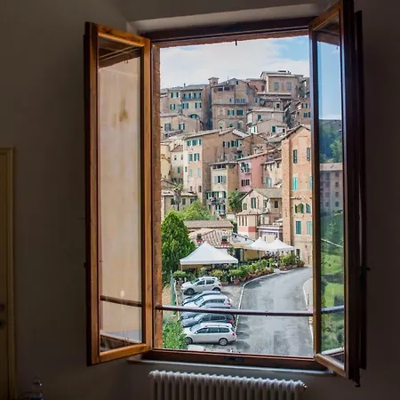 Salicotto 56-2