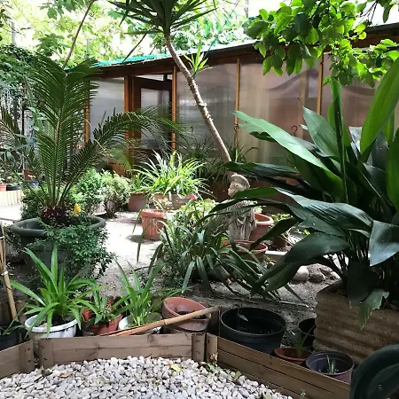 La Casa Di Elena-2