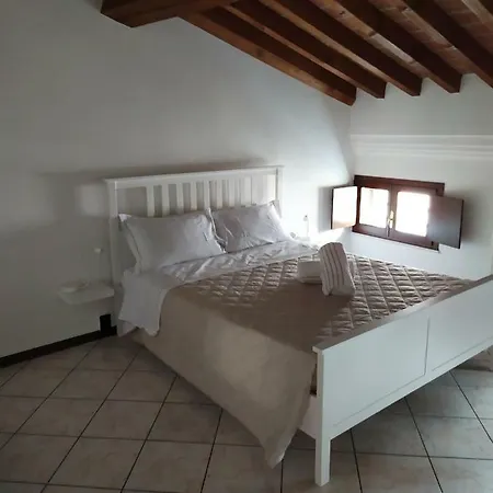 Carducci 49-2