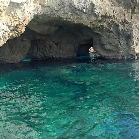 Acquarium Tropea-2