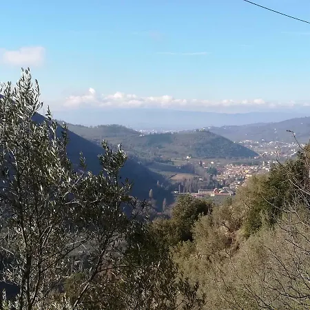 B&B Il Sentiero nel Bosco-2
