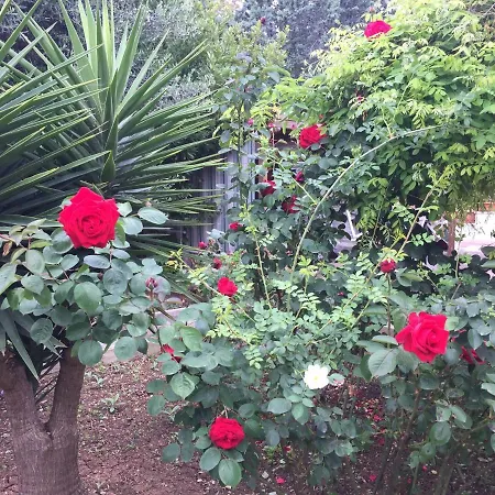 Il Giardino Della Foglia-2