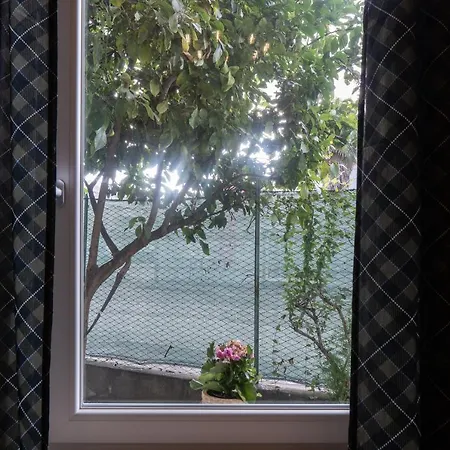 La Casa Di Alvy-2