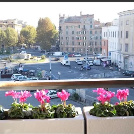 Fiore Vaticano B&B-2