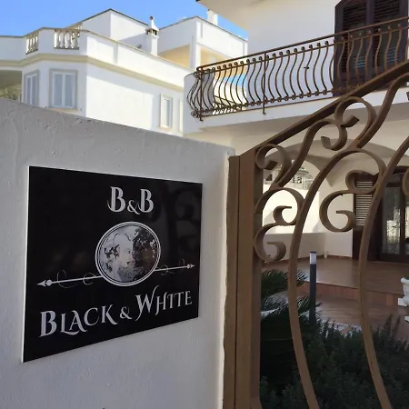 B&B Black-And-White-2