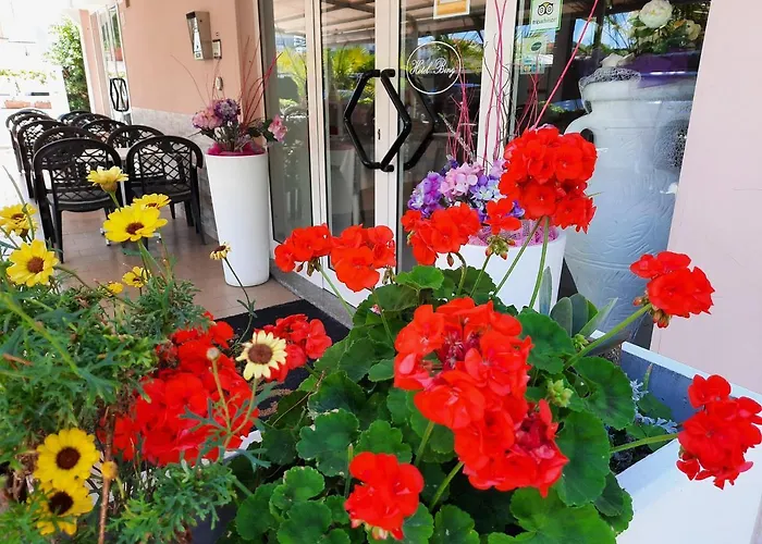 Hotel Bing Rimini