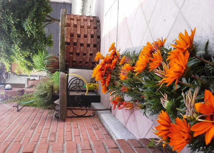 Bed&Breakfast La Siepe Pinerolo