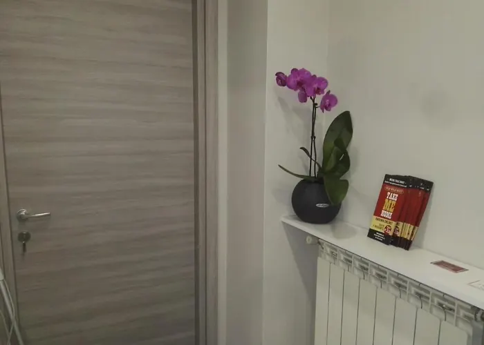 B&B via Piave da Lillo Frosinone