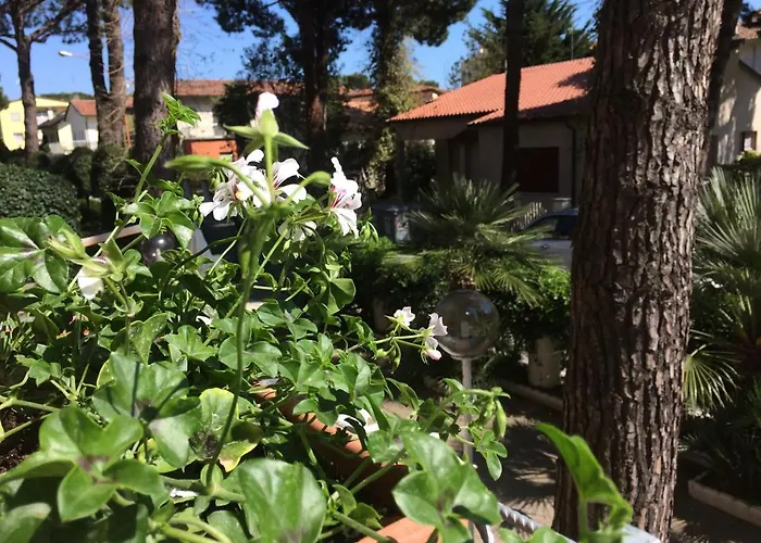 Alice Hotel Cervia