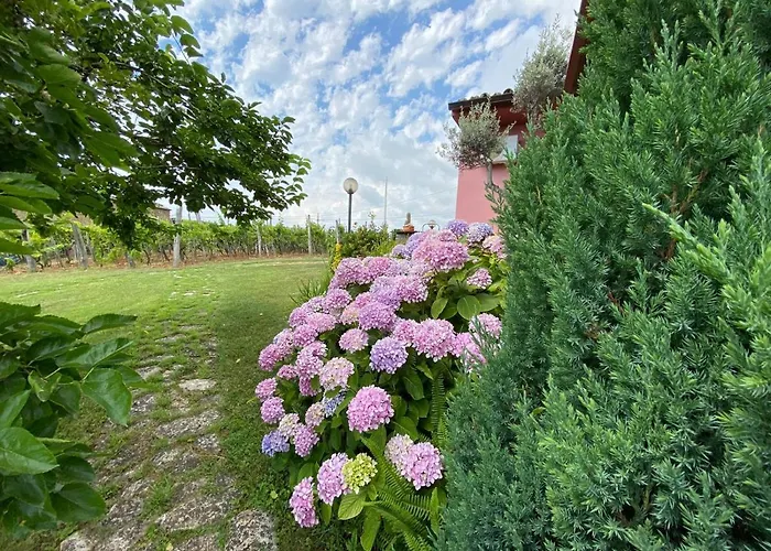 B&B la Sirenetta Diamante