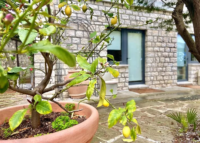 Le Due Palme Bed & Breakfast Sirolo