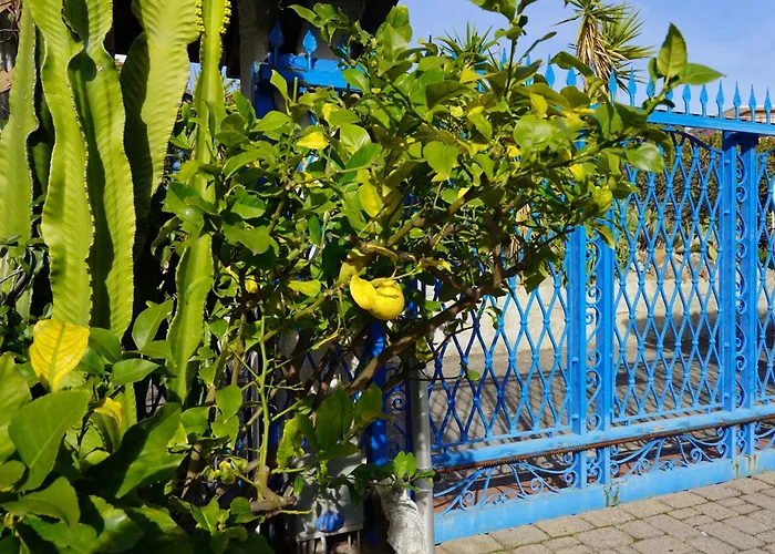 VILLA RITA SEA FRONT VIEW SANREMO - Parcheggio gratuito in struttura