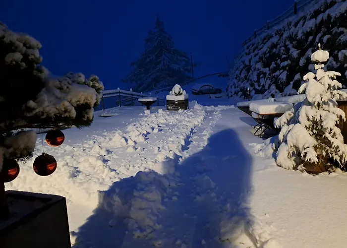 Aparthotel Roanerhof Campo Tures