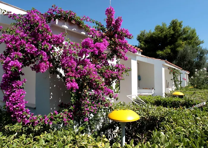 Villaggio Turistico Residence Delfino Vieste