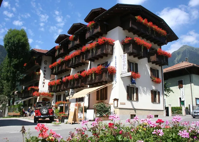 Hotel Collini Pinzolo