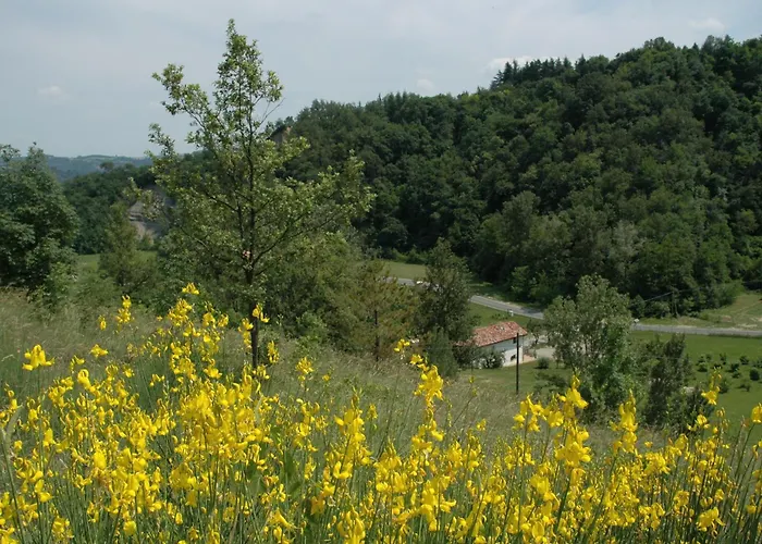 Agriturismo Rio Verde Sasso Marconi
