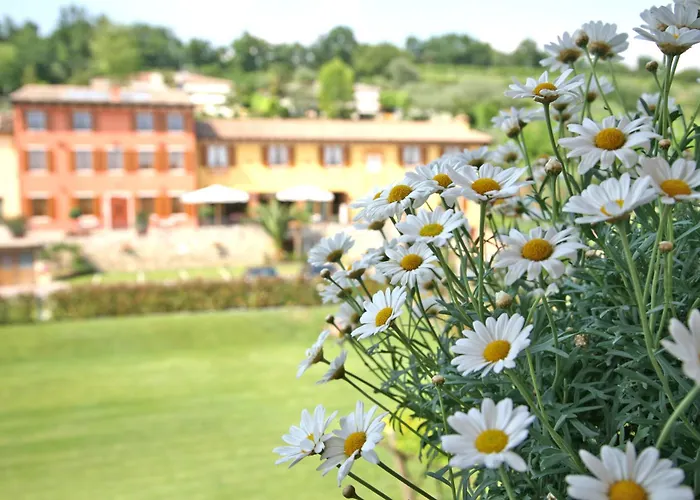 Bed and Breakfast La Zerla Bardolino