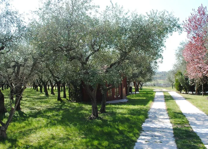 Agriturismo Melograno D'Oro Bardolino